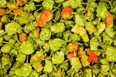 《艾尔登法环》新MOD 成功解决了卡顿问题